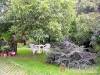 Gombosszegi Vend�gh�z - Gombosszeg - Nagy�t�shoz kattintson a k�pre!