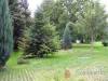 Gombosszegi Vend�gh�z - Gombosszeg - Nagy�t�shoz kattintson a k�pre!