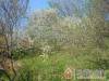 Harm�nia Vend�gh�z - B�kkszentm�rton - Nagy�t�shoz kattintson a k�pre!
