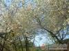 Harm�nia Vend�gh�z - B�kkszentm�rton - Nagy�t�shoz kattintson a k�pre!