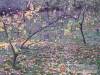 Harm�nia Vend�gh�z - B�kkszentm�rton - Nagy�t�shoz kattintson a k�pre!