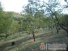 Harm�nia Vend�gh�z - B�kkszentm�rton - Nagy�t�shoz kattintson a k�pre!