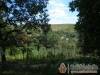 Harm�nia Vend�gh�z - B�kkszentm�rton - Nagy�t�shoz kattintson a k�pre!
