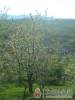 Harm�nia Vend�gh�z - B�kkszentm�rton - Nagy�t�shoz kattintson a k�pre!