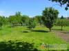 Ad�l-Lak - Nagyhars�ny - Nagy�t�shoz kattintson a k�pre!