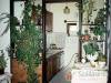 Horv�th Vend�gh�z - Szigliget - Nagy�t�shoz kattintson a k�pre!
