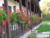 Horv�th Kulcsosh�z - Di�sjen� - Nagy�t�shoz kattintson a k�pre!