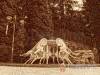 Horv�th Vend�gh�z - M�nosb�l - Nagy�t�shoz kattintson a k�pre!