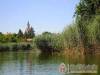 Ibolya V�zparti Nyaral� - Gyomaendr�d - Nagy�t�shoz kattintson a k�pre!