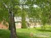 F�z�rradv�nyi Ifj�s�gi T�bor - F�z�rradv�ny - Nagy�t�shoz kattintson a k�pre!