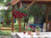 Ildik� Apartman - B�lap�tfalva - Nagy�t�shoz kattintson a k�pre!