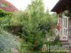 �risz H�z - Miskolctapolca - Nagy�t�shoz kattintson a k�pre!