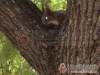 K�csi Nyaral� - K�cs - Nagy�t�shoz kattintson a k�pre!