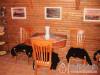K�csi Nyaral� - K�cs - Nagy�t�shoz kattintson a k�pre!