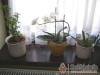 Kata Apartman - Kistarcsa - Nagy�t�shoz kattintson a k�pre!