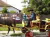 Kutasipuszta Vend�gh�z - Sz�kkutas - Nagy�t�shoz kattintson a k�pre!