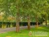 Magyar K�z�t Vend�gh�zak - Tiszak�cske - Nagy�t�shoz kattintson a k�pre!