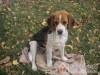 Marika �s N�ndi Vend�gv�r� - �jpetre - Nagy�t�shoz kattintson a k�pre!