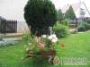 Marika �s N�ndi Vend�gv�r� - �jpetre - Nagy�t�shoz kattintson a k�pre!