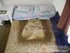 Mik� Vend�gh�z - B�lap�tfalva - Nagy�t�shoz kattintson a k�pre!