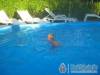 Napf�ny Apartmanok - Balatonalm�di - Nagy�t�shoz kattintson a k�pre!