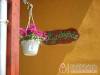 Napraforg� Vend�gh�z - Nemti - Nagy�t�shoz kattintson a k�pre!