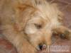 N�gy �vszak Vend�gh�z - K�v�g�sz�l�s - Nagy�t�shoz kattintson a k�pre!