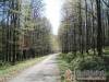 N�metb�nya Vad�szh�z - N�metb�nya - Nagy�t�shoz kattintson a k�pre!