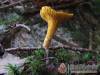 N�metb�nya Vad�szh�z - N�metb�nya - Nagy�t�shoz kattintson a k�pre!