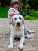 N�metb�nya Vad�szh�z - N�metb�nya - Nagy�t�shoz kattintson a k�pre!