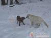 N�metb�nya Vad�szh�z - N�metb�nya - Nagy�t�shoz kattintson a k�pre!