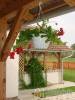 �reg Malom Vend�gh�z - Kust�nszeg - Nagy�t�shoz kattintson a k�pre!