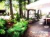 �reg T� Club Hotel �s Ifj�s�gi T�bor - Tata - Nagy�t�shoz kattintson a k�pre!