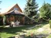 Pagoda Apartman - Zalacs�ny; sz�ll�s t�pusa: apartman