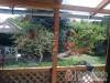 Pagoda Apartman - Zalacs�ny - Nagy�t�shoz kattintson a k�pre!