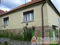 Patk� Vend�gh�z - B�kkzs�rc