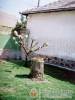 P�ter - Lak - M�zs - Nagy�t�shoz kattintson a k�pre!