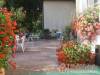 Plat�n Park Hotel*** - Zalacs�ny - Nagy�t�shoz kattintson a k�pre!