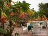 Plat�n Park Hotel*** - Zalacs�ny - Nagy�t�shoz kattintson a k�pre!