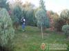 Romantika Apartman - S�rv�r - Nagy�t�shoz kattintson a k�pre!