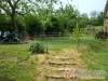 Sajugi K�ria - �cstesz�r - Nagy�t�shoz kattintson a k�pre!