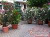S�ra Apartmanok - Si�fok - Nagy�t�shoz kattintson a k�pre!
