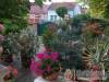 S�ra Apartmanok - Si�fok - Nagy�t�shoz kattintson a k�pre!