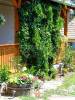 S�razsad�nyi Vend�gh�z - S�razsad�ny - Nagy�t�shoz kattintson a k�pre!