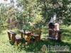 Szieszta Vend�gh�z - Fony - Nagy�t�shoz kattintson a k�pre!