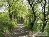 T�lgy Lak - Pilisszentkereszt - Nagy�t�shoz kattintson a k�pre!