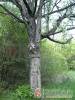 T�lgy Lak - Pilisszentkereszt - Nagy�t�shoz kattintson a k�pre!