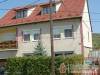 Tulip�nfa Vend�gh�z - Noszvaj - Nagy�t�shoz kattintson a k�pre!