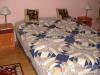 Tulip�nfa Vend�gh�z - Noszvaj - Nagy�t�shoz kattintson a k�pre!
