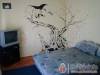Valika Vend�gh�z - Sarud - Nagy�t�shoz kattintson a k�pre!